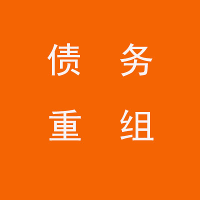 杨陵个人债务重组优化